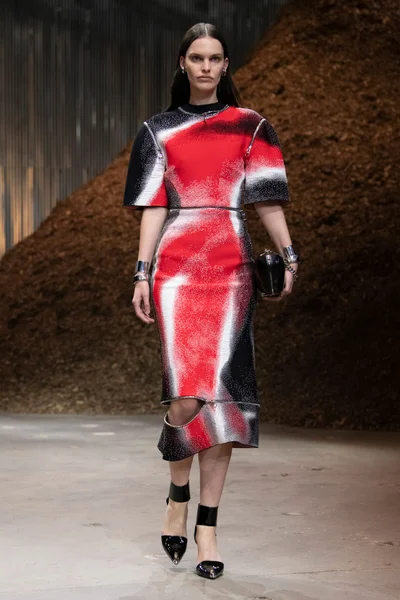 Look 15